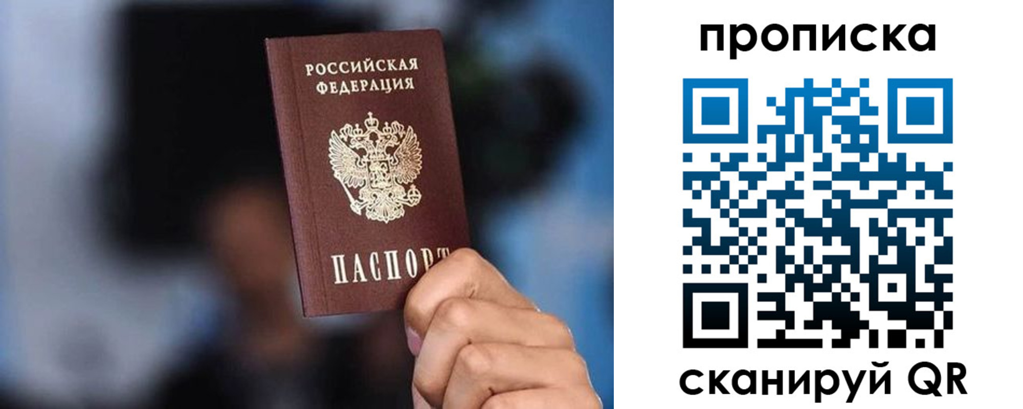 прописка законно в Кольчугино